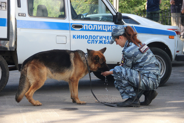 Криминалист где учиться что сдавать зарплата